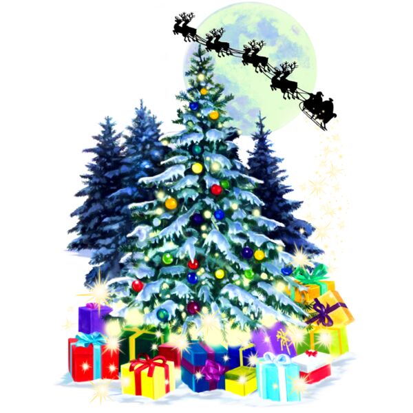 B1216 DIGITAL XmasForest Thumbnail