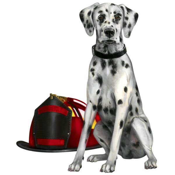 F5529 Firehouse Dalmatian Thumbnail