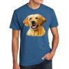 Unisex CVC Crewneck T-Shirt Thumbnail