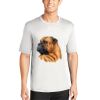 Mens Multi Color Sublimated PosiCharge Competitor Tee Thumbnail